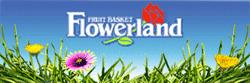 D-Flower_300x100_20121104-GIF-SM
