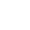 icon-focus