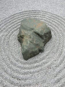 fmg-sn_cvd-225x300-v8