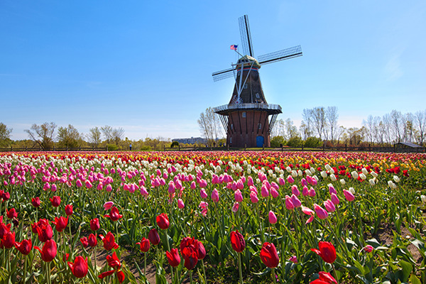 mktg_destinations_holland