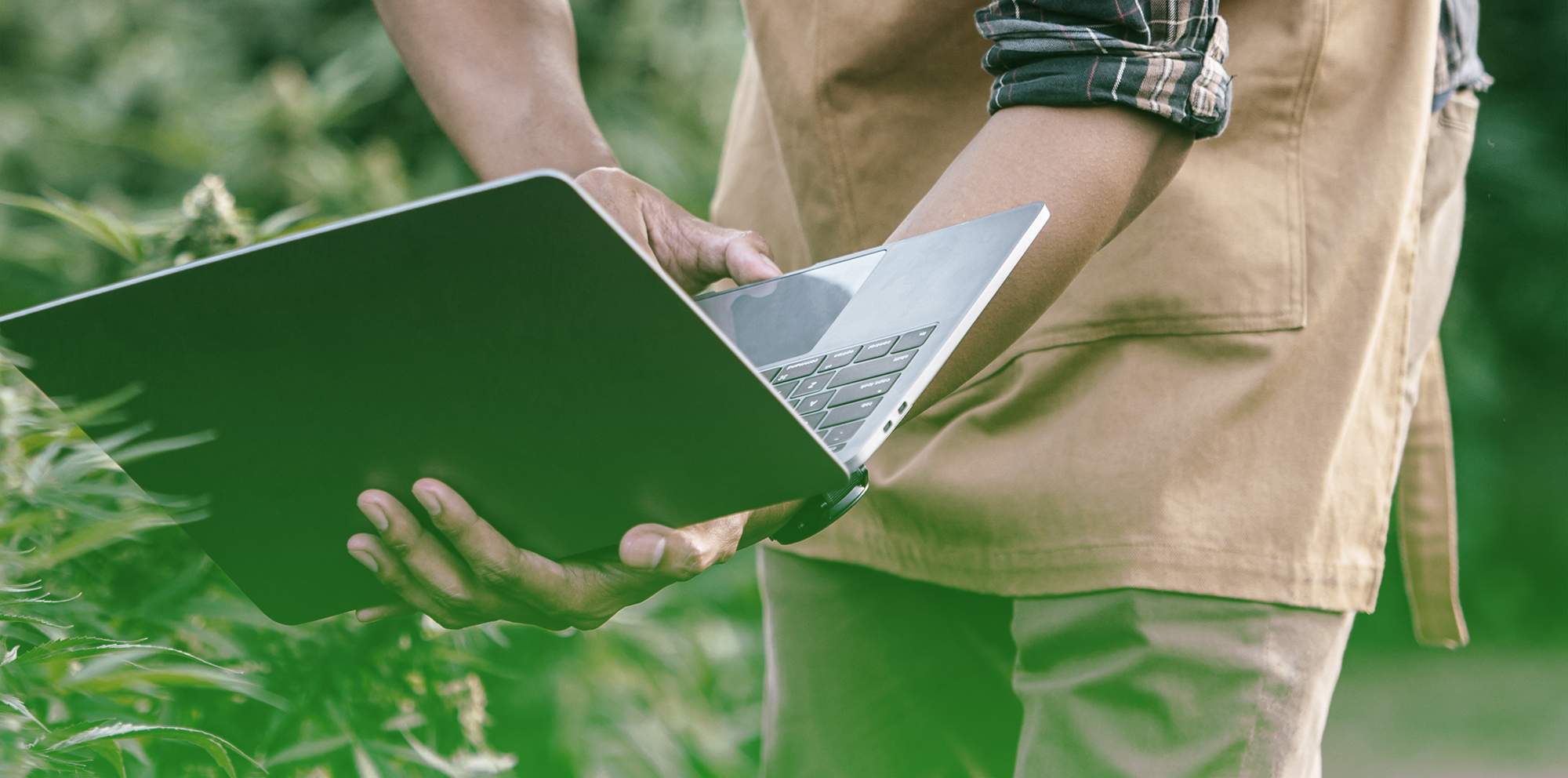 Cannabis marketer in the field with laptop